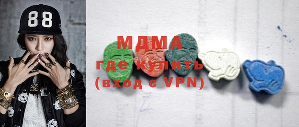 шишки Лабытнанги