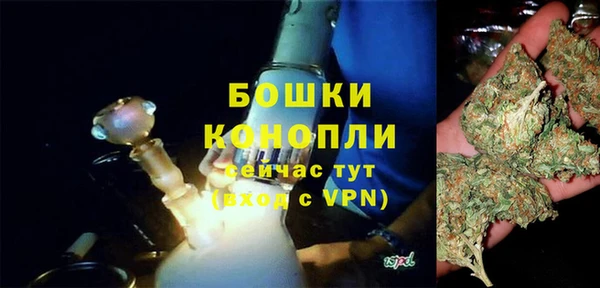 шишки Лабытнанги