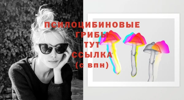 твердый Ладушкин