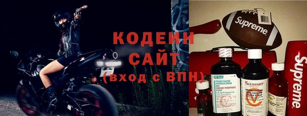 спиды Лагань