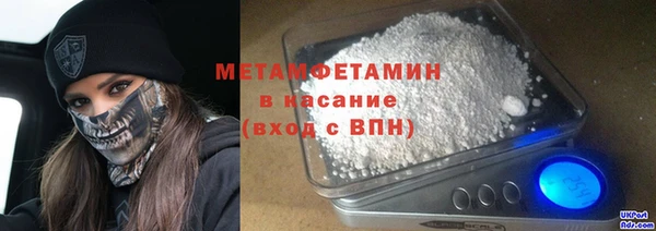 шишки Лабытнанги