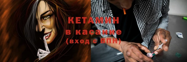 шишки Лабытнанги