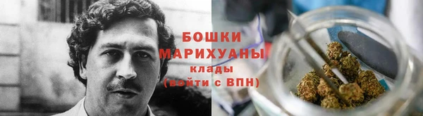 шишки Лабытнанги
