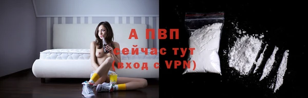 твердый Ладушкин
