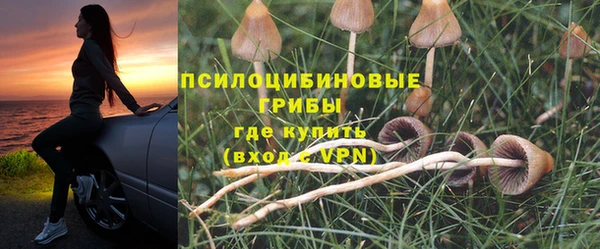 твердый Ладушкин