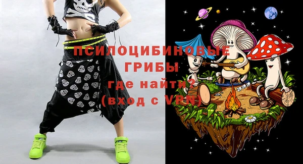 шишки Лабытнанги