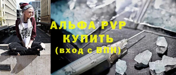 шишки Лабытнанги