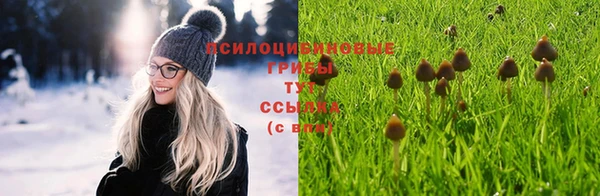 твердый Ладушкин