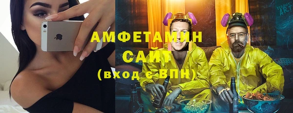шишки Лабытнанги