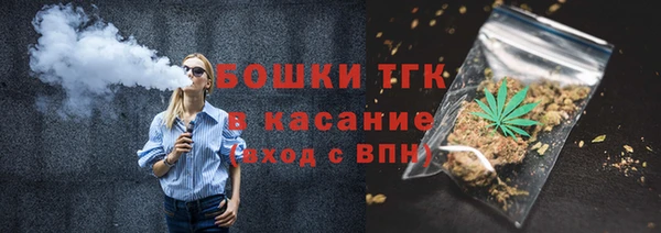 твердый Ладушкин