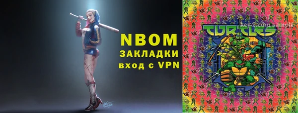 шишки Лабытнанги