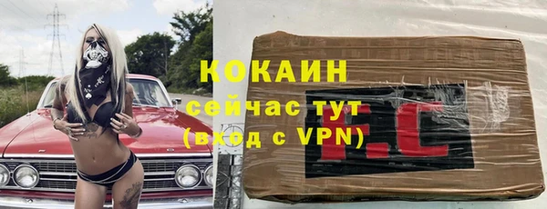 спиды Лагань