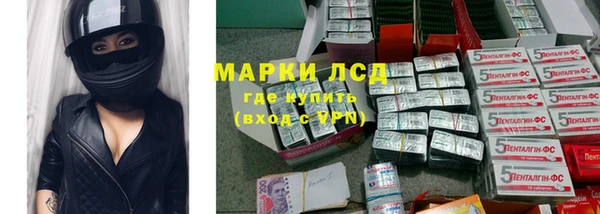 шишки Лабытнанги