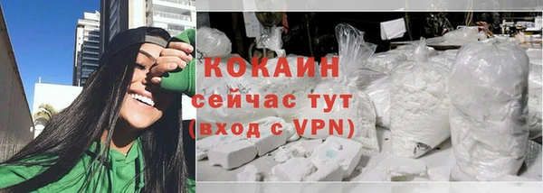 шишки Лабытнанги