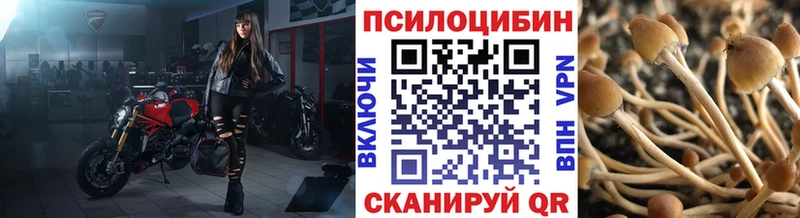 Псилоцибиновые грибы Magic Shrooms  дарнет шоп  Зарайск 